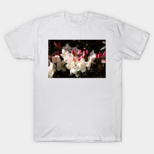 White rhododendron flower T-Shirt